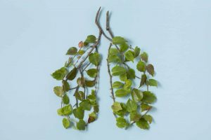 still-life-sustainable-lifestyle-elements-arrangement